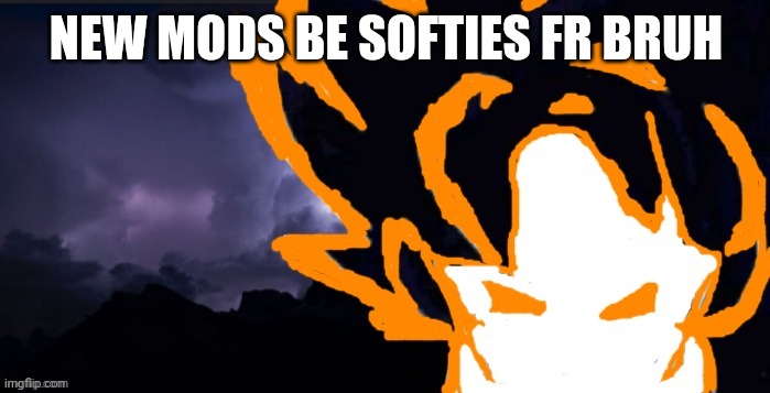 LowTeirGoob | NEW MODS BE SOFTIES FR BRUH | image tagged in lowteirgoob | made w/ Imgflip meme maker