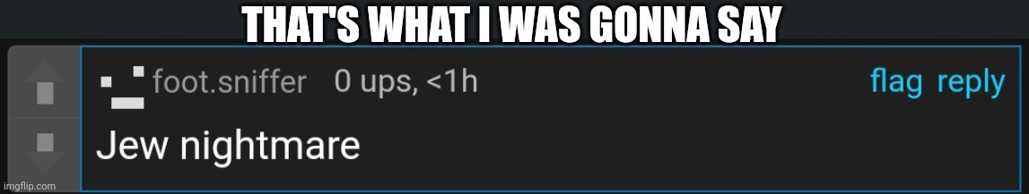 THAT'S WHAT I WAS GONNA SAY | made w/ Imgflip meme maker