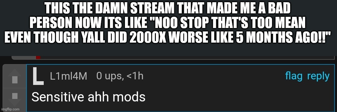 THIS THE DAMN STREAM THAT MADE ME A BAD PERSON NOW ITS LIKE "NOO STOP THAT'S TOO MEAN EVEN THOUGH YALL DID 2000X WORSE LIKE 5 MONTHS AGO!!" | made w/ Imgflip meme maker