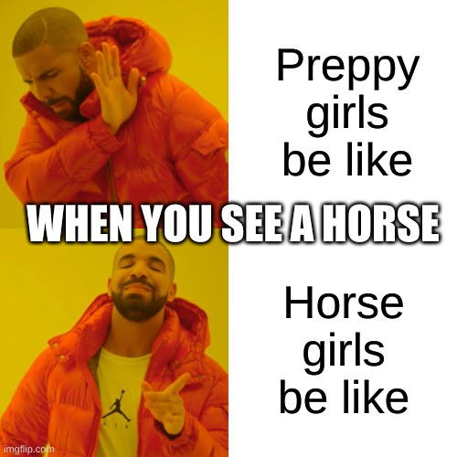 Drake Hotline Bling Meme | Preppy girls be like; WHEN YOU SEE A HORSE; Horse girls be like | image tagged in memes,drake hotline bling | made w/ Imgflip meme maker