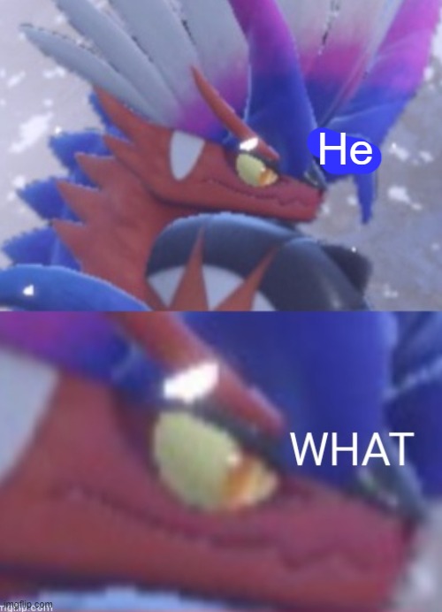 The What (Koraidon Edition) | He | image tagged in the what koraidon edition | made w/ Imgflip meme maker