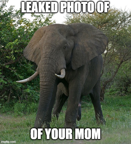 LEAKED PHOTO OF; OF YOUR MOM | made w/ Imgflip meme maker