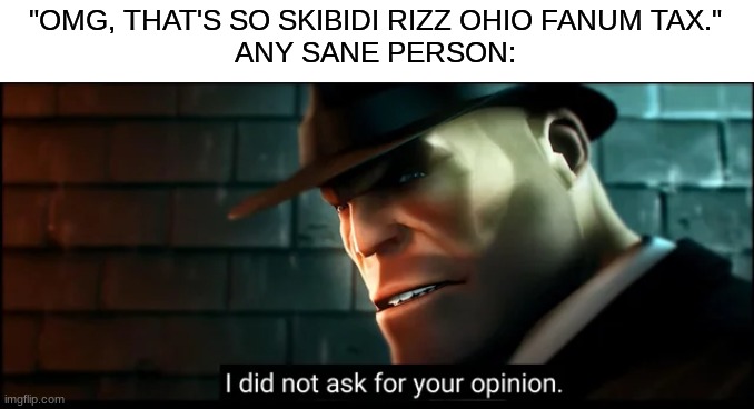 no one asked | "OMG, THAT'S SO SKIBIDI RIZZ OHIO FANUM TAX."
ANY SANE PERSON: | image tagged in gen alpha | made w/ Imgflip meme maker
