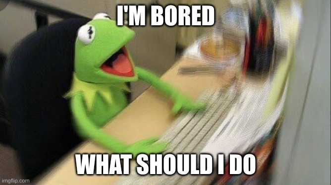 forget the drama that happened earlier ¯\_(ツ)_/¯ | I'M BORED; WHAT SHOULD I DO | image tagged in kermit the frog computer shocked | made w/ Imgflip meme maker