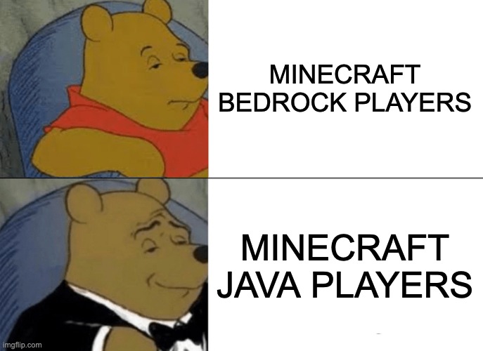 Tuxedo Winnie The Pooh | MINECRAFT BEDROCK PLAYERS; MINECRAFT JAVA PLAYERS | image tagged in memes,tuxedo winnie the pooh | made w/ Imgflip meme maker