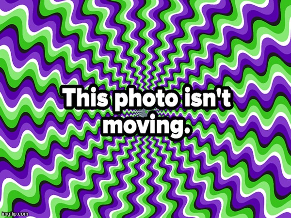 illusion | image tagged in wierd,optical illusion,memes | made w/ Imgflip meme maker
