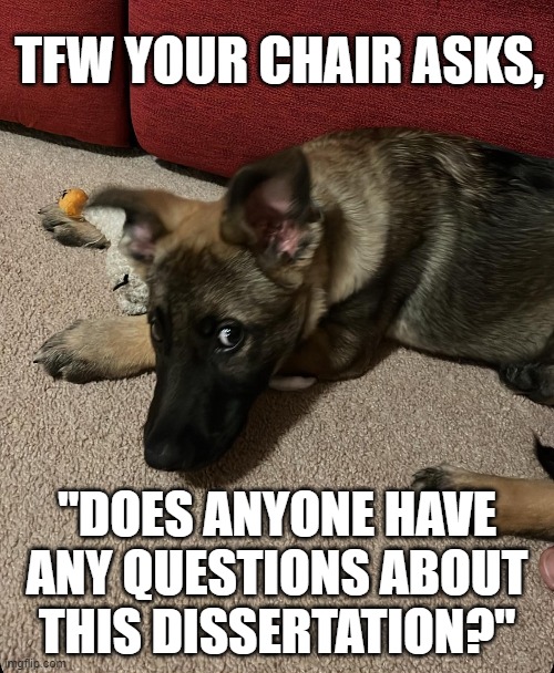 Dissertation questions? | TFW YOUR CHAIR ASKS, "DOES ANYONE HAVE ANY QUESTIONS ABOUT THIS DISSERTATION?" | image tagged in dog,side eye,dissertation,funny memes | made w/ Imgflip meme maker