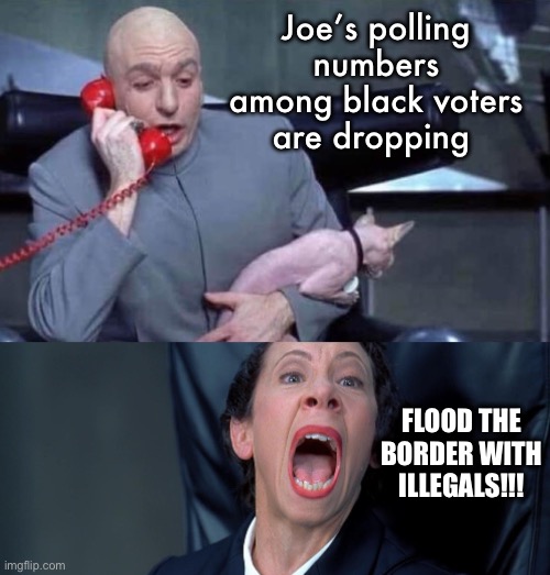 Dereliction with a purpose | Joe’s polling numbers among black voters are dropping; FLOOD THE BORDER WITH ILLEGALS!!! | image tagged in dr evil and frau,politics lol,memes,government corruption | made w/ Imgflip meme maker