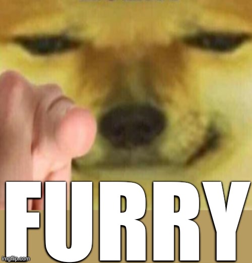 Pointing Doge | FURRY | image tagged in pointing doge | made w/ Imgflip meme maker
