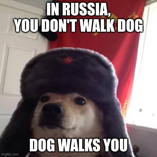 Idk | IN RUSSIA, YOU DON'T WALK DOG; DOG WALKS YOU | image tagged in communist dog | made w/ Imgflip meme maker