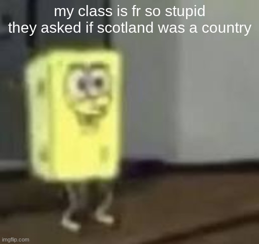 like no shit | my class is fr so stupid
they asked if scotland was a country | image tagged in spunchbob | made w/ Imgflip meme maker