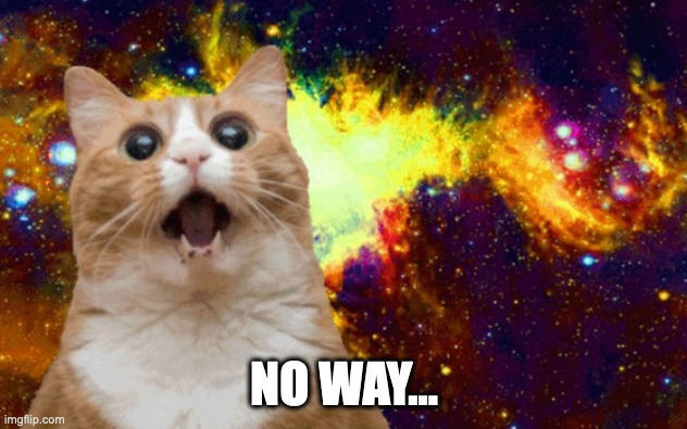 Mind Blown cat | NO WAY... | image tagged in mind blown cat | made w/ Imgflip meme maker
