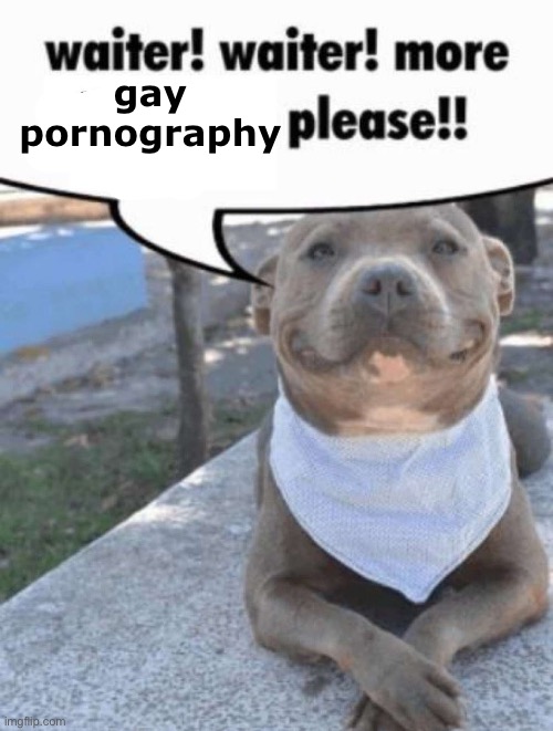 waiter! pit bull | gay pornography | image tagged in waiter pit bull | made w/ Imgflip meme maker