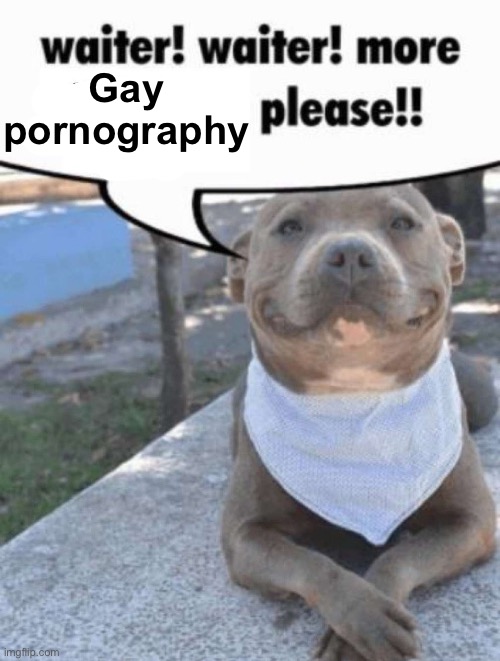 waiter! pit bull | Gay pornography | image tagged in waiter pit bull | made w/ Imgflip meme maker