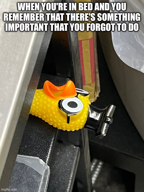 WHEN YOU'RE IN BED AND YOU REMEMBER THAT THERE'S SOMETHING IMPORTANT THAT YOU FORGOT TO DO | image tagged in chicken,funny memes,dollar store | made w/ Imgflip meme maker