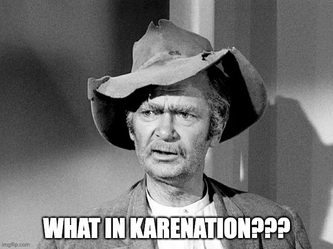 What In Karenation | WHAT IN KARENATION??? | image tagged in what in tarnation,beverly hillbillies,karen | made w/ Imgflip meme maker