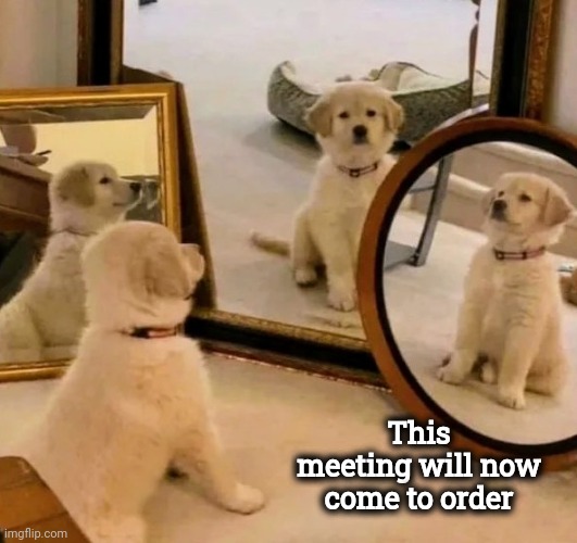 It's ok to talk to yourself , you're the only one that truly understands you | This meeting will now come to order | image tagged in dogs,mirror,get together,board room meeting,well yes but actually no | made w/ Imgflip meme maker