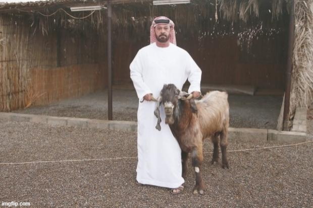 Goat simulator arabstyle | image tagged in goat simulator arabstyle | made w/ Imgflip meme maker
