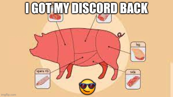 where da money at | I GOT MY DISCORD BACK; 😎 | image tagged in porky | made w/ Imgflip meme maker