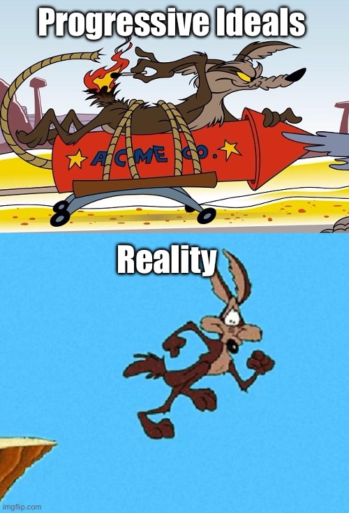 Acme government | Progressive Ideals; Reality | image tagged in wile e coyote,politics lol,memes | made w/ Imgflip meme maker