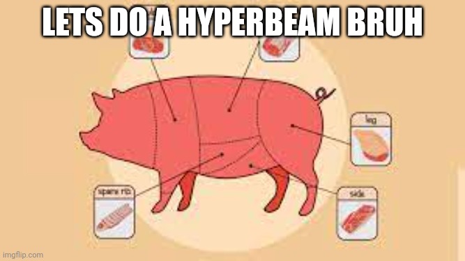 pws :3 | LETS DO A HYPERBEAM BRUH | image tagged in porky | made w/ Imgflip meme maker