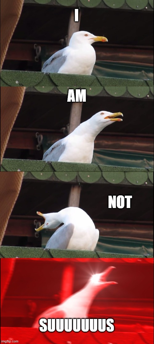 sus | I; AM; NOT; SUUUUUUUS | image tagged in memes,inhaling seagull | made w/ Imgflip meme maker