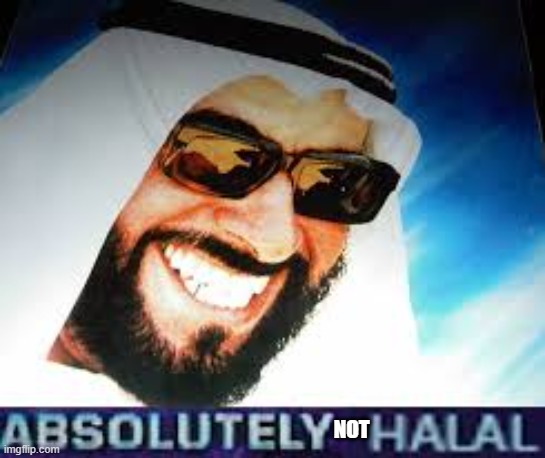 Absolutely Halal | NOT | image tagged in absolutely halal | made w/ Imgflip meme maker