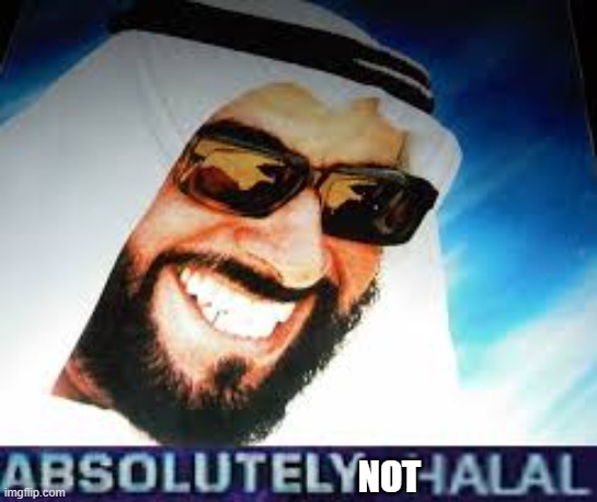 Absolutely Halal | NOT | image tagged in absolutely halal | made w/ Imgflip meme maker