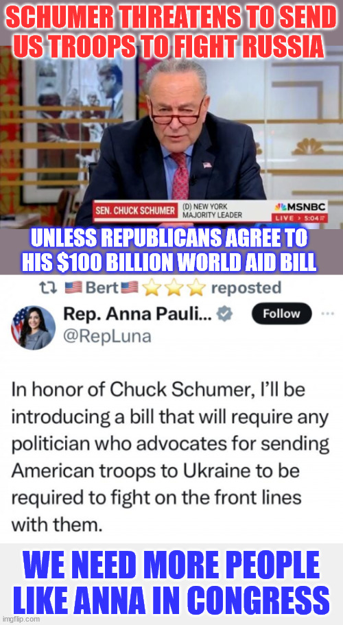 This is how you respond to out of touch dinosaurs in Congress... | SCHUMER THREATENS TO SEND US TROOPS TO FIGHT RUSSIA; UNLESS REPUBLICANS AGREE TO HIS $100 BILLION WORLD AID BILL; WE NEED MORE PEOPLE LIKE ANNA IN CONGRESS | image tagged in stupid,coward,chuck schumer | made w/ Imgflip meme maker