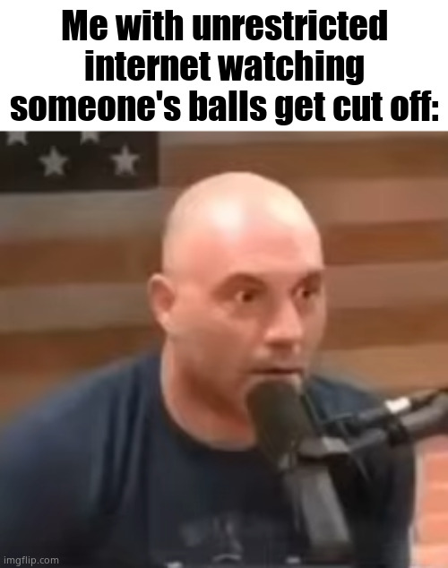 Joe Rogan Staring | Me with unrestricted internet watching someone's balls get cut off: | image tagged in joe rogan staring | made w/ Imgflip meme maker