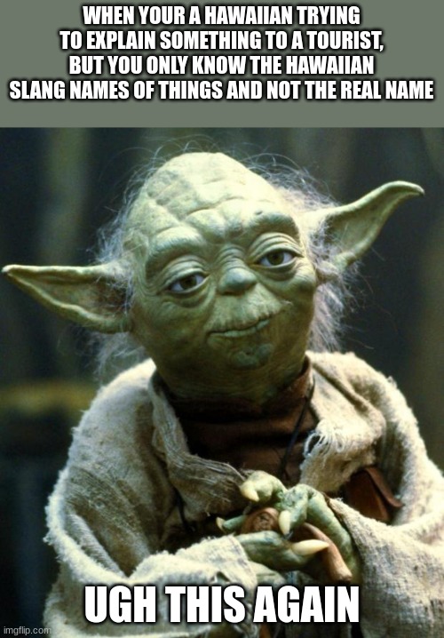 if you understand you understand | WHEN YOUR A HAWAIIAN TRYING TO EXPLAIN SOMETHING TO A TOURIST, BUT YOU ONLY KNOW THE HAWAIIAN SLANG NAMES OF THINGS AND NOT THE REAL NAME; UGH THIS AGAIN | image tagged in memes,star wars yoda | made w/ Imgflip meme maker