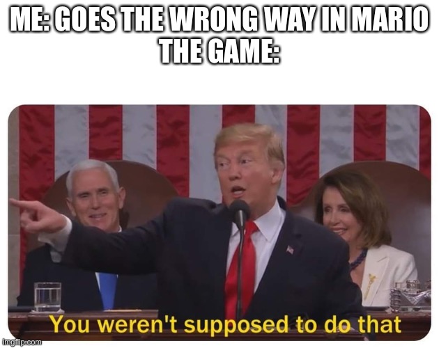 You weren't supposed to do that | ME: GOES THE WRONG WAY IN MARIO
THE GAME: | image tagged in you weren't supposed to do that | made w/ Imgflip meme maker