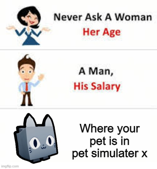 Never ask a woman her age | Where your pet is in pet simulater x | image tagged in never ask a woman her age | made w/ Imgflip meme maker