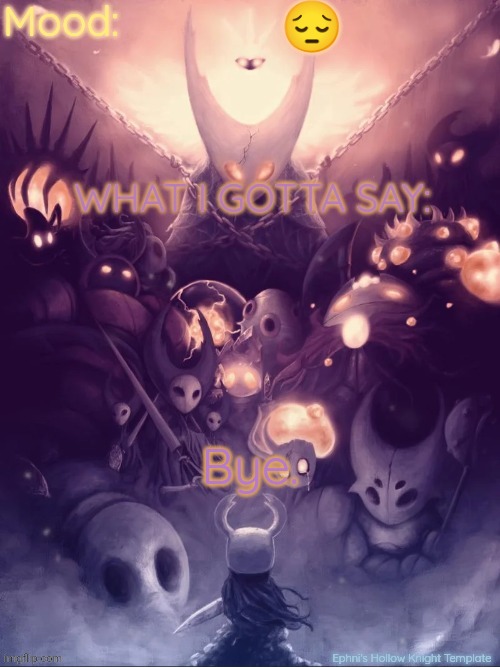 Bye dbdrager. | 😔; Bye. | image tagged in ephni's hollow knight template | made w/ Imgflip meme maker