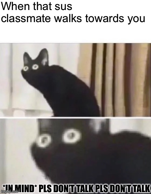 Oh No Black Cat | When that sus classmate walks towards you; *IN MIND* PLS DON’T TALK PLS DON’T TALK | image tagged in oh no black cat | made w/ Imgflip meme maker
