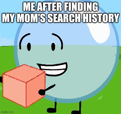 BFDI bubble with cake | ME AFTER FINDING MY MOM'S SEARCH HISTORY | image tagged in bfdi bubble with cake | made w/ Imgflip meme maker