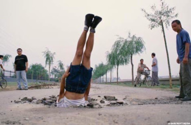 The floor is amazing | image tagged in the floor is amazing | made w/ Imgflip meme maker