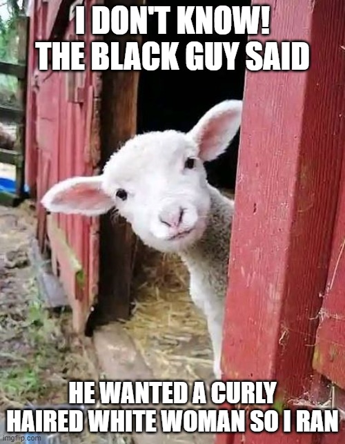 We got a runner | I DON'T KNOW!
THE BLACK GUY SAID; HE WANTED A CURLY HAIRED WHITE WOMAN SO I RAN | image tagged in runner,interracial couple,5 black guys and blonde,bbc,sheep,black sheep | made w/ Imgflip meme maker