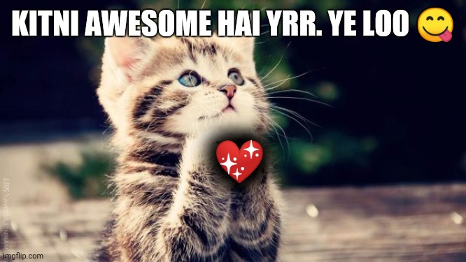 Love for a GC gurl | KITNI AWESOME HAI YRR. YE LOO 😋; 💖 | image tagged in praying cat | made w/ Imgflip meme maker