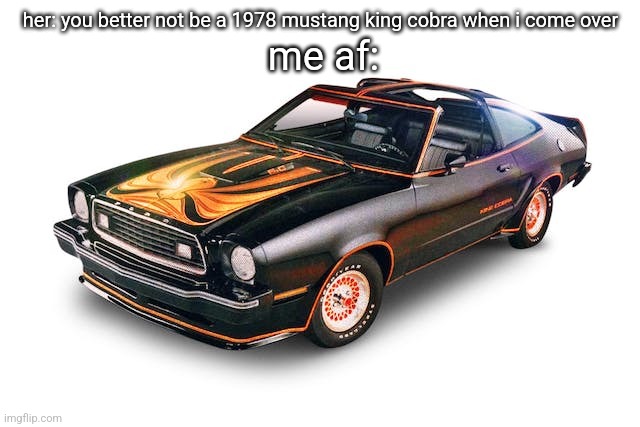 not sorry. | her: you better not be a 1978 mustang king cobra when i come over; me af: | made w/ Imgflip meme maker