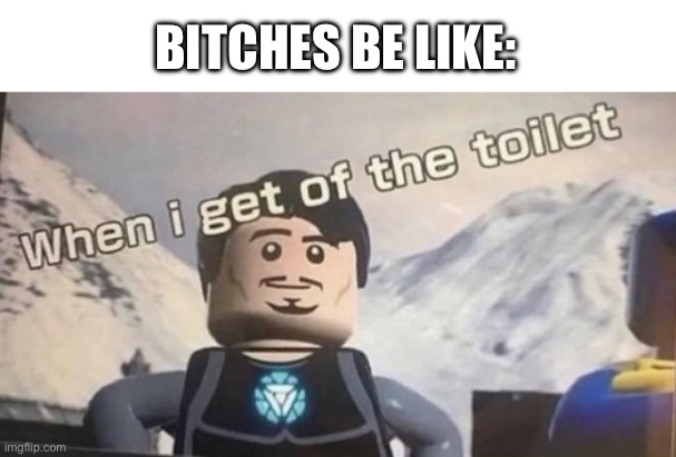 SKIBIDI TOILET TYCOOON | BITCHES BE LIKE: | image tagged in when i get of the toilet | made w/ Imgflip meme maker