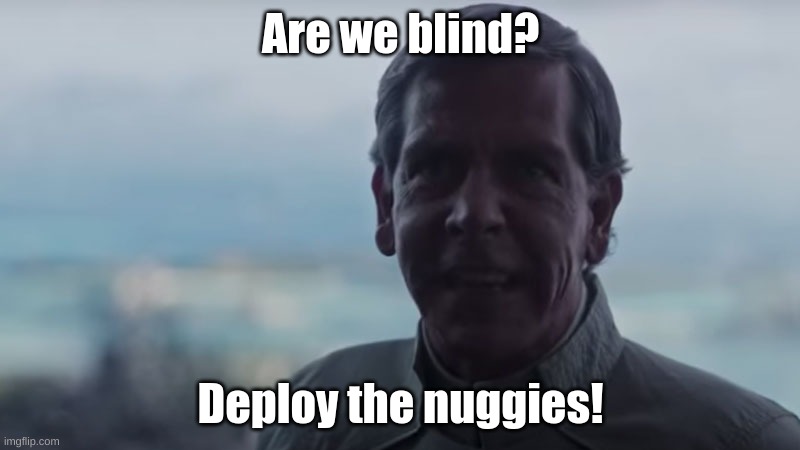 Are We Blind? Deploy the | Are we blind? Deploy the nuggies! | image tagged in are we blind deploy the | made w/ Imgflip meme maker