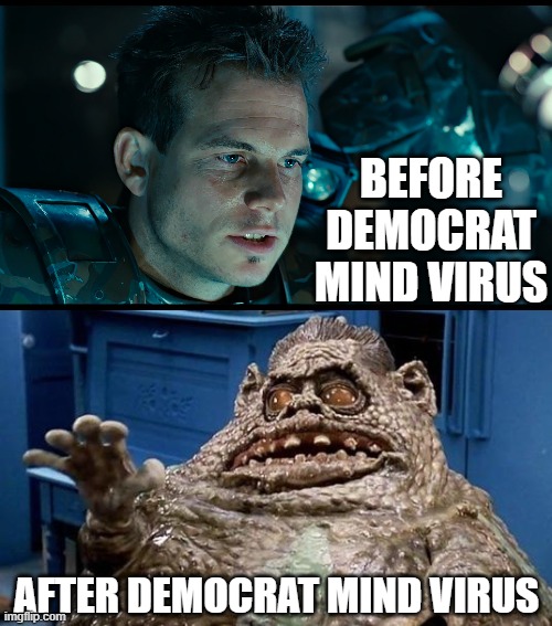 BEFORE DEMOCRAT MIND VIRUS; AFTER DEMOCRAT MIND VIRUS | made w/ Imgflip meme maker