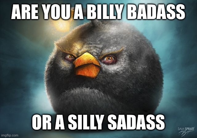 What are you? | ARE YOU A BILLY BADASS; OR A SILLY SADASS | image tagged in angry birds bomb | made w/ Imgflip meme maker