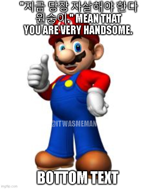 U are hand some :D | "지금 당장 자살해야 한다 원숭이." MEAN THAT YOU ARE VERY HANDSOME. @ITWASMEMAN; BOTTOM TEXT | image tagged in mario thumbs up | made w/ Imgflip meme maker
