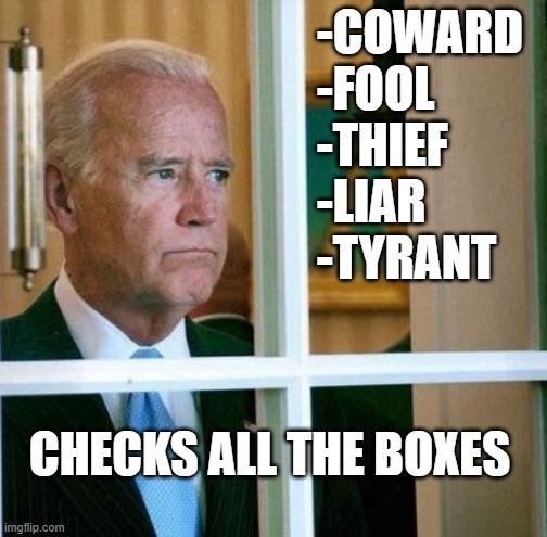 Sad Joe Biden | -COWARD
-FOOL
-THIEF
-LIAR
-TYRANT CHECKS ALL THE BOXES | image tagged in sad joe biden | made w/ Imgflip meme maker