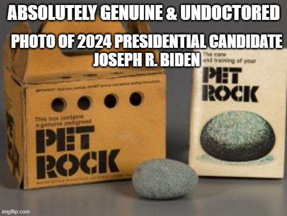 Joseph R. Biden UTOPIAN PANTISOCRAT | ABSOLUTELY GENUINE & UNDOCTORED PHOTO OF 2024 PRESIDENTIAL CANDIDATE
JOSEPH R. BIDEN | image tagged in pet rock,joe biden,vladimir putin,tucker carlson,kamala harris,trump | made w/ Imgflip meme maker