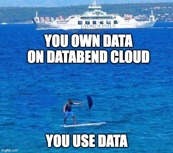Cruise Ship and Surfboad | YOU OWN DATA ON DATABEND CLOUD; YOU USE DATA | image tagged in cruise ship and surfboad | made w/ Imgflip meme maker