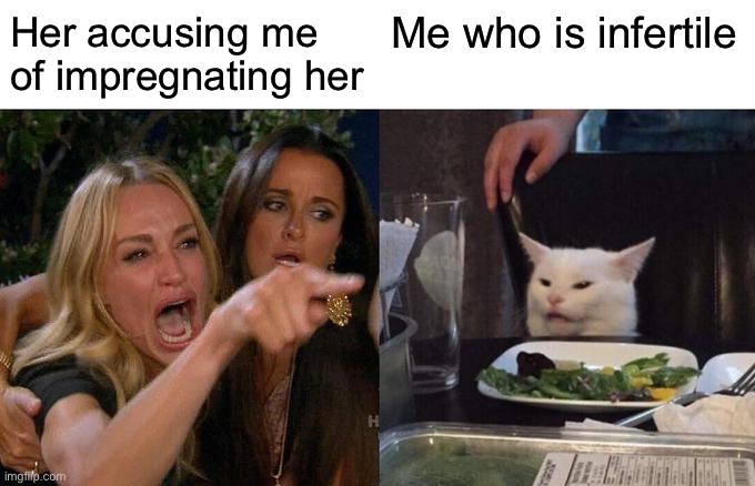 Woman Yelling At Cat Meme | Her accusing me of impregnating her; Me who is infertile | image tagged in memes,woman yelling at cat | made w/ Imgflip meme maker