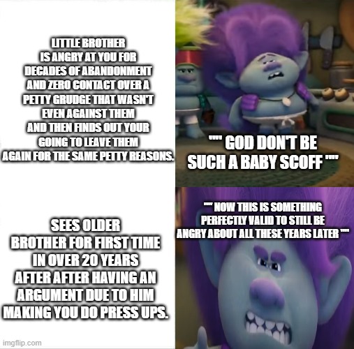Trolls memes | LITTLE BROTHER IS ANGRY AT YOU FOR DECADES OF ABANDONMENT AND ZERO CONTACT OVER A PETTY GRUDGE THAT WASN'T EVEN AGAINST THEM AND THEN FINDS OUT YOUR GOING TO LEAVE THEM AGAIN FOR THE SAME PETTY REASONS. "" GOD DON'T BE SUCH A BABY SCOFF ""; "" NOW THIS IS SOMETHING PERFECTLY VALID TO STILL BE ANGRY ABOUT ALL THESE YEARS LATER ""; SEES OLDER BROTHER FOR FIRST TIME IN OVER 20 YEARS AFTER AFTER HAVING AN ARGUMENT DUE TO HIM MAKING YOU DO PRESS UPS. | image tagged in memes,sleeping shaq,trolls memes | made w/ Imgflip meme maker